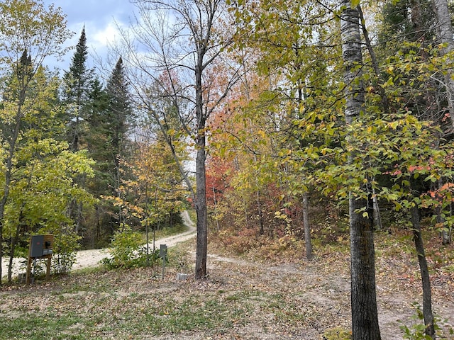 13102 Seaberg Ln, Bagley, MN 56621 - photo 24