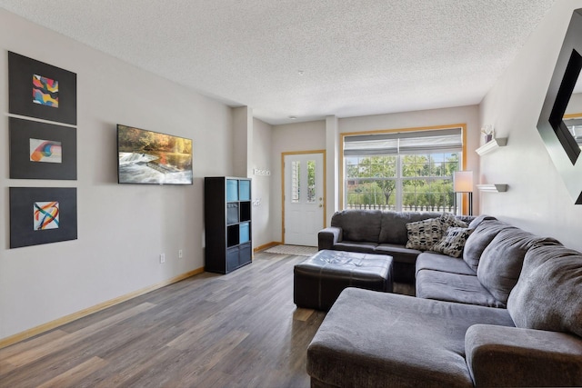 living room featuring wood-type flooring and a textured ceiling