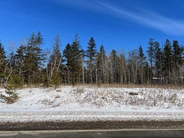 TBD Town Hall Rd NW, Bemidji MN, 56601 land for sale