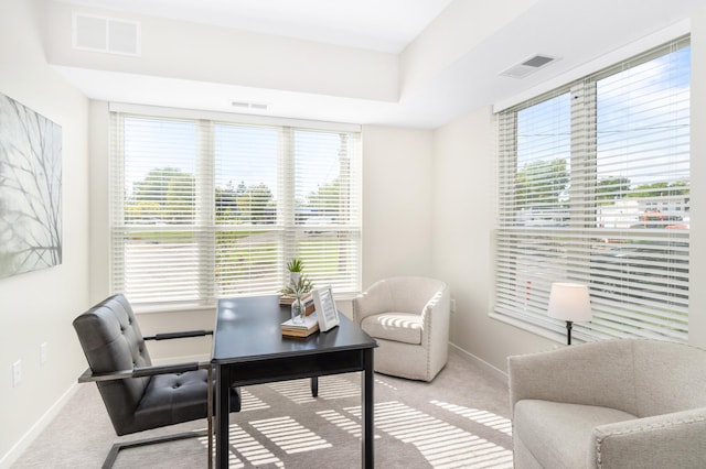 view of carpeted office space