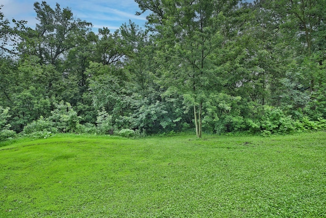 14125 Timber Ln, Waseca, MN 56093 - photo 40