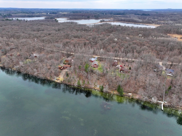 bird's eye view featuring a water view and a wooded view