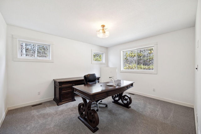 2650 Fox St, Orono, MN 55391 - office space featuring plenty of natural light, light colored carpet, and baseboards