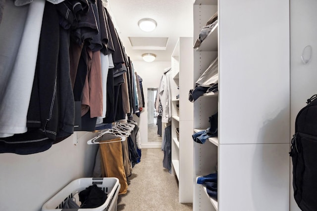 2650 Fox St, Orono, MN 55391 - walk in closet featuring light colored carpet