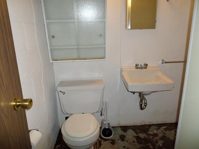 bathroom featuring toilet and sink