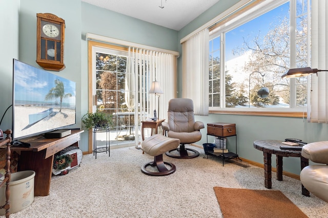 sitting room with carpet floors