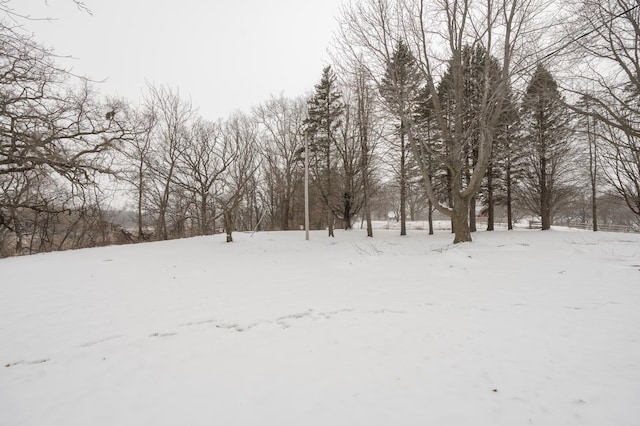 view of snowy yard