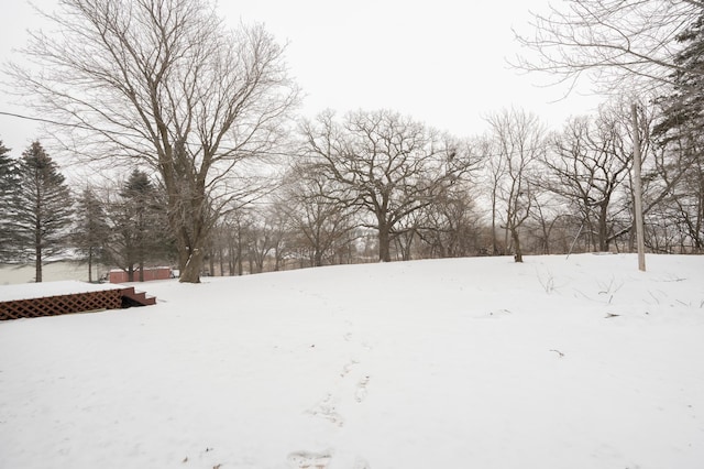 view of yard layered in snow