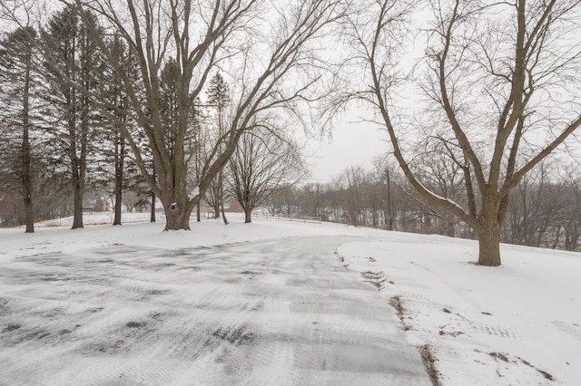 view of yard layered in snow