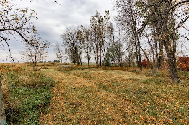 view of yard featuring a rural view