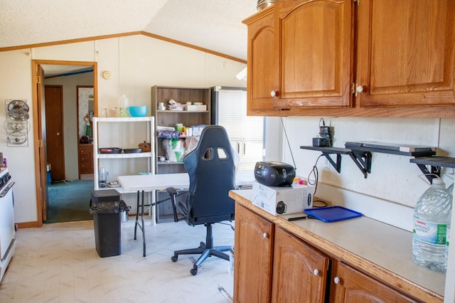 4906 32nd St SW, Pine River, MN 56474 - office space featuring crown molding, a textured ceiling, vaulted ceiling, and light floors