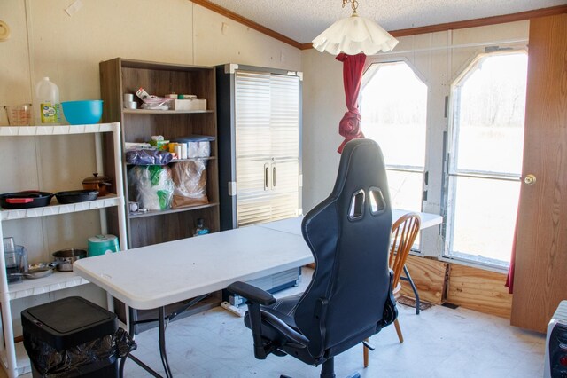 4906 32nd St SW, Pine River, MN 56474 - home office featuring ornamental molding, a textured ceiling, tile patterned floors, and vaulted ceiling