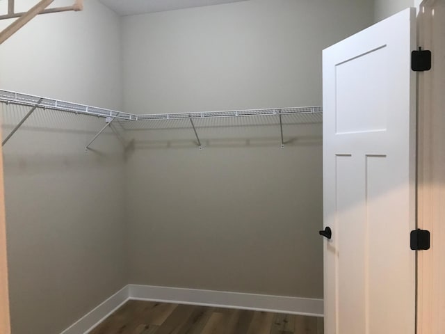 spacious closet featuring hardwood / wood-style flooring