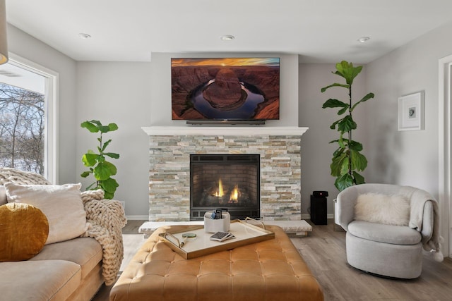 living room with hardwood / wood-style floors and a fireplace