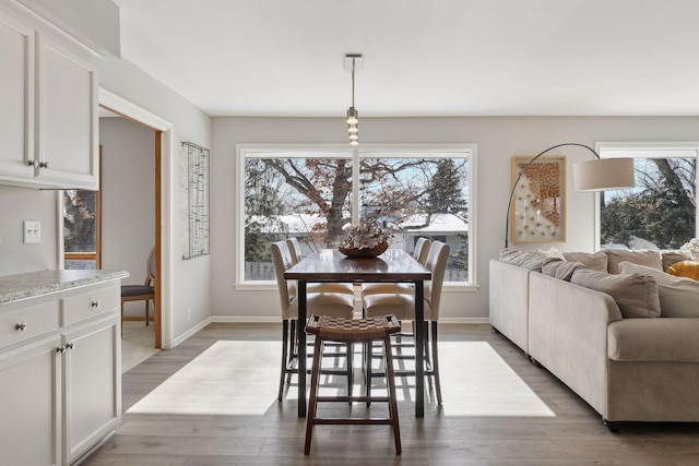 dining room with wood-type flooring