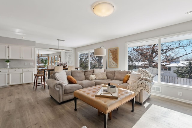 living room featuring light hardwood / wood-style flooring