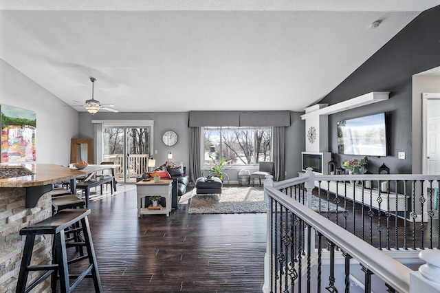 interior space featuring dark wood finished floors, a ceiling fan, and vaulted ceiling