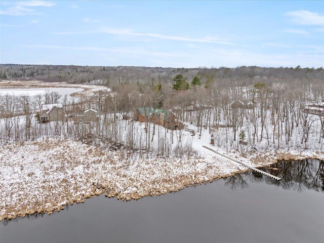 snowy aerial view with a water view
