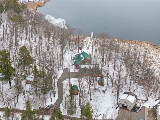 view of snowy aerial view
