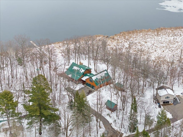view of snowy aerial view