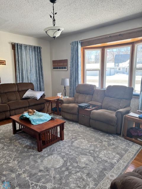 living room with dark hardwood / wood-style floors and a textured ceiling