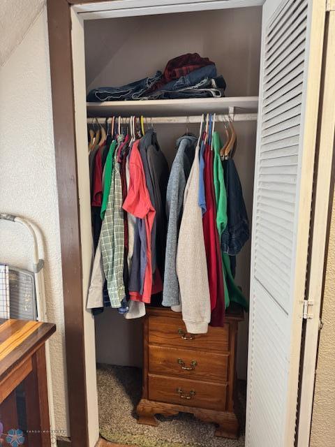 view of closet