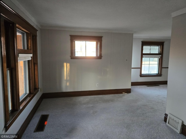 empty room featuring ornamental molding and carpet