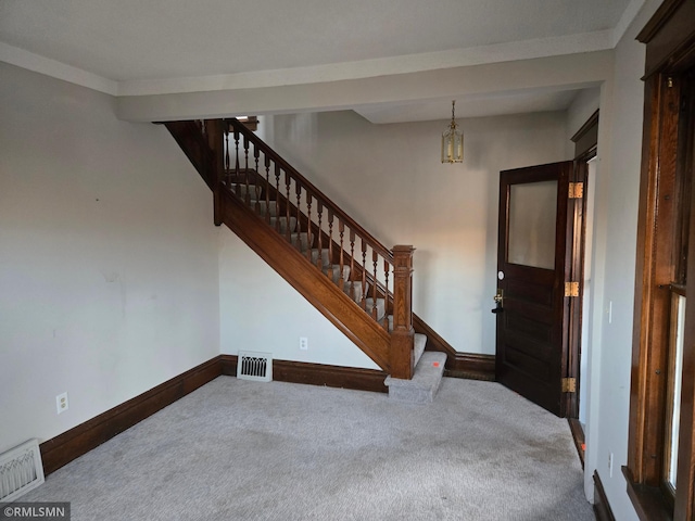 stairs featuring carpet floors