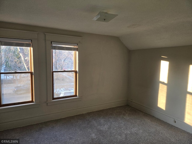 additional living space featuring vaulted ceiling, carpet, and a textured ceiling