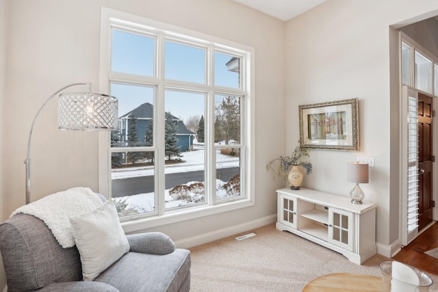 living area featuring carpet flooring