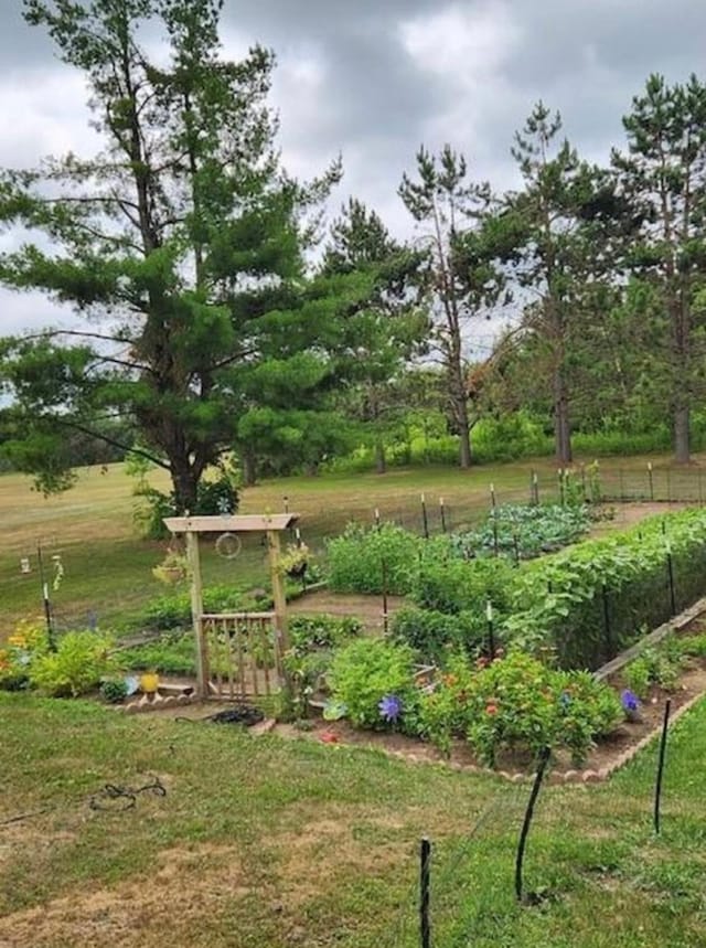 view of yard with a garden