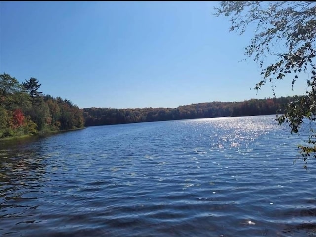 water view featuring a forest view