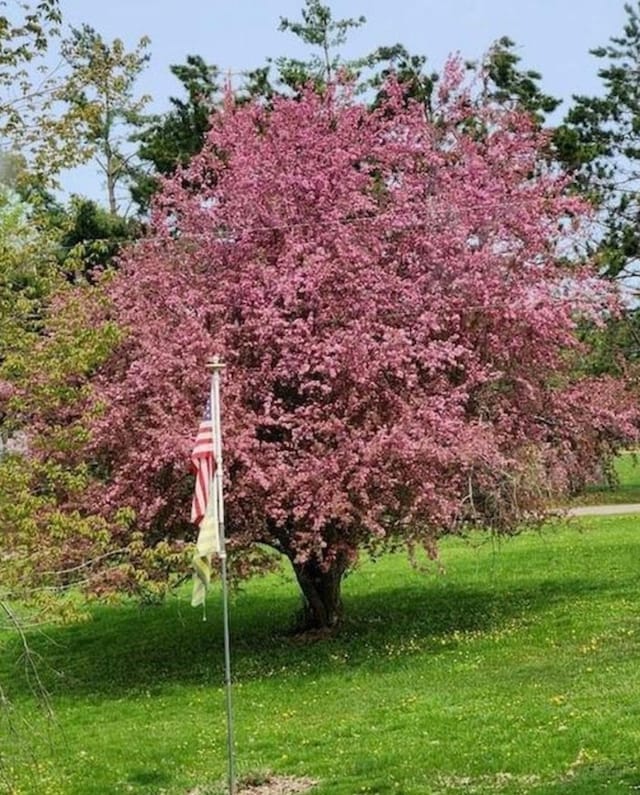 surrounding community with a lawn