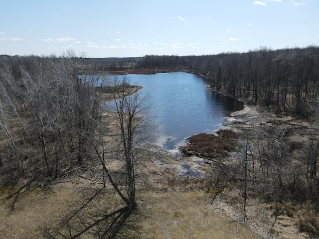 water view with a view of trees