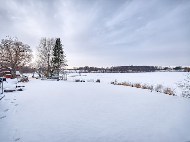 view of yard covered in snow