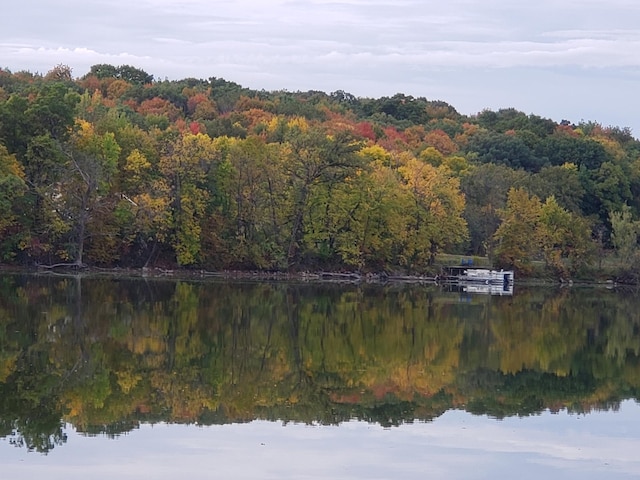 water view featuring a view of trees