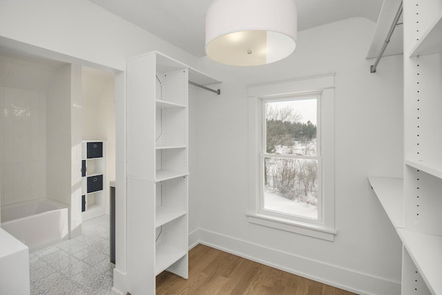 walk in closet with light wood-type flooring