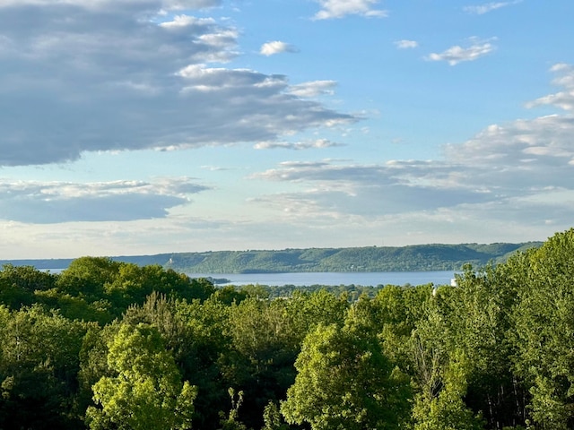30150 715th St, Lake City, MN 55041 - water view with a heavily wooded area