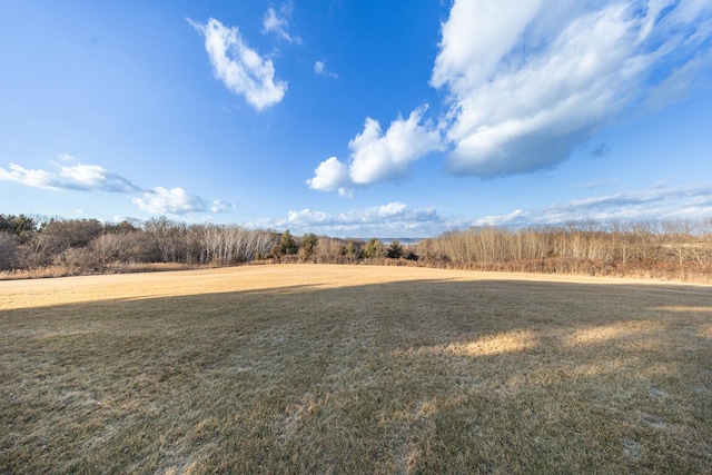 30150 715th St, Lake City, MN 55041 - view of green lawn