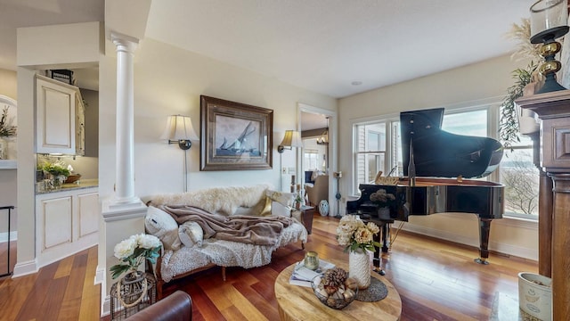 30150 715th St, Lake City, MN 55041 - living room with ornate columns and wood-type flooring