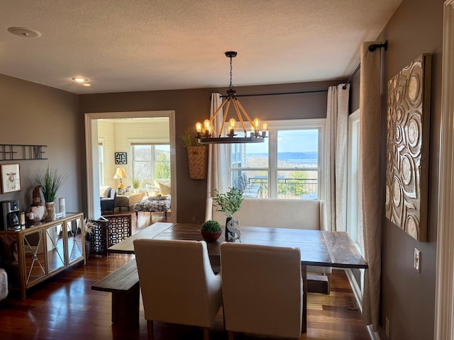 30150 715th St, Lake City, MN 55041 - dining space with a chandelier, dark wood-type flooring, and a textured ceiling