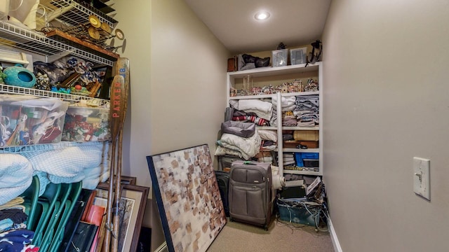 30150 715th St, Lake City, MN 55041 - view of storage area