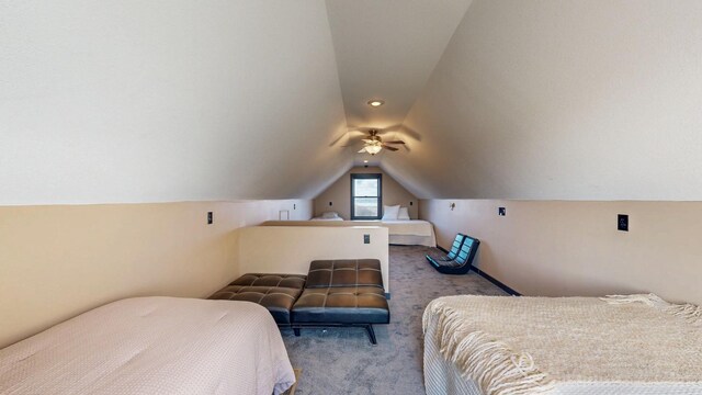 30150 715th St, Lake City, MN 55041 - bedroom with carpet and vaulted ceiling