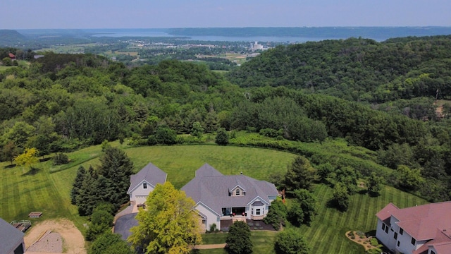 30150 715th St, Lake City, MN 55041 - bird's eye view of a forest