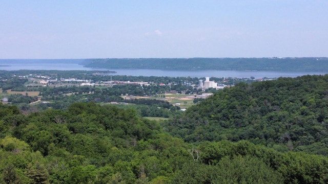 30150 715th St, Lake City, MN 55041 - aerial view of a forest and a large body of water