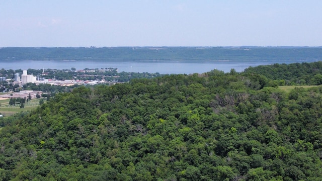 30150 715th St, Lake City, MN 55041 - water view featuring a heavily wooded area