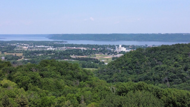 30150 715th St, Lake City, MN 55041 - drone / aerial view of a heavily wooded area and a nearby body of water