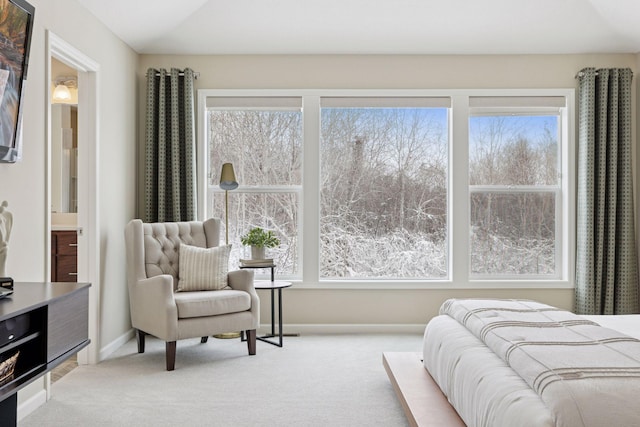 bedroom featuring ensuite bathroom, carpet flooring, and baseboards