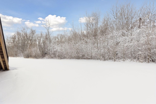 view of snowy yard