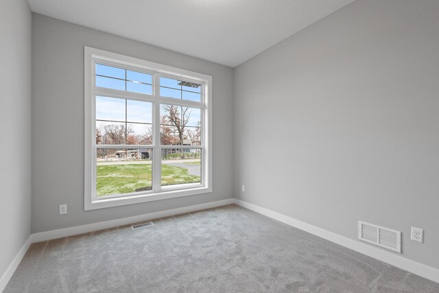 22816 Jarvis St NW, Elk River, MN 55330 - view of carpeted empty room